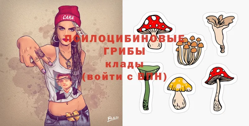 дарк нет состав  Волгореченск  Псилоцибиновые грибы MAGIC MUSHROOMS 